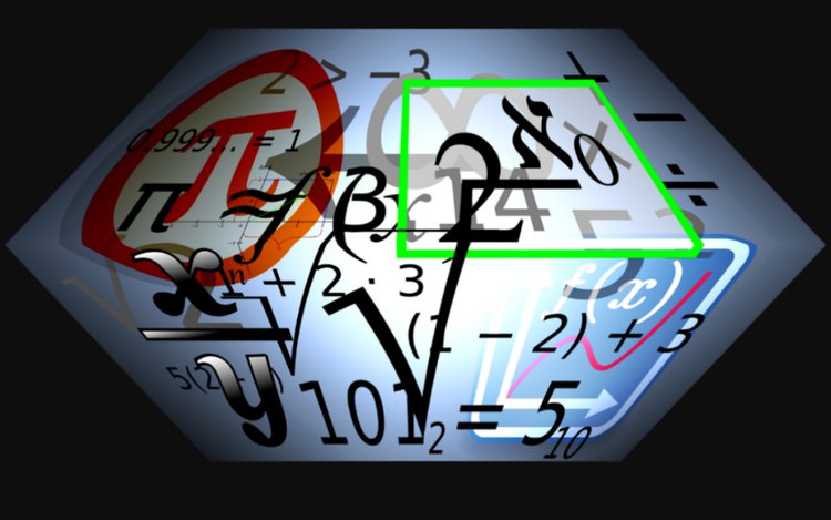 Digitale Medien im mathematisch-naturwissenschaftlichen Unterricht der Sekundarstufe