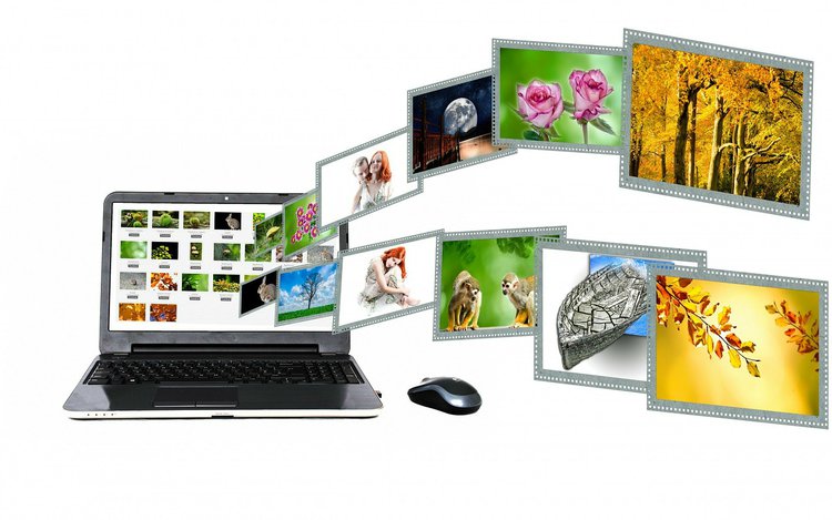 Google Bilder