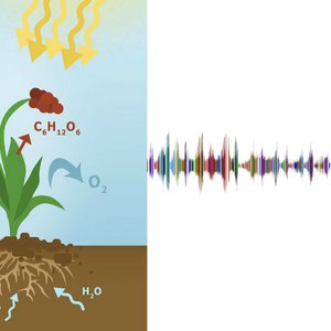 Vorschaubild Einen wissenschaftlichen Audio-Podcast planen und erstellen