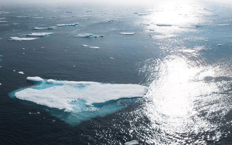 Bildungswiki Klimawandel