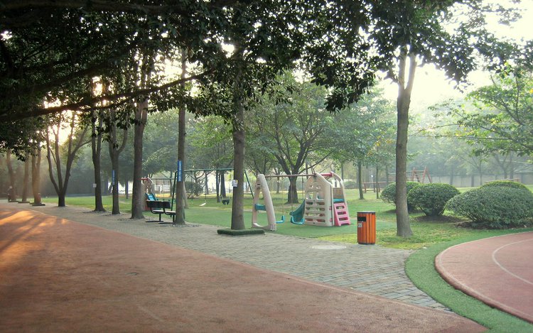 There is...my school!