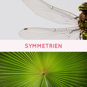 Vorschaubild Symmetrien - GeoGebra zum selbstständigen Lernen kennenlernen