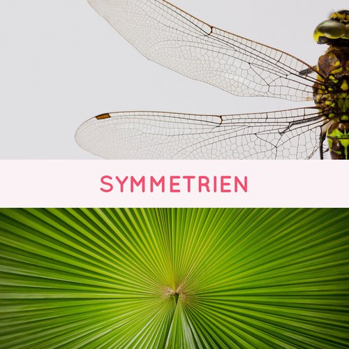 Symmetrien - GeoGebra zum selbstständigen Lernen kennenlernen