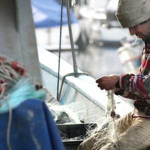 Vorschaubild Markt und Umwelt - Ökonomie versus Ökologie?