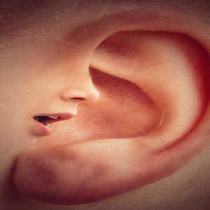 Vorschaubild Den Stillen eine Stimme geben - Sprachaufnahmen einfach und effektiv nutzen