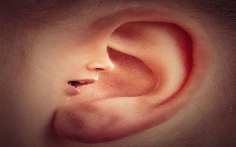 Den Stillen eine Stimme geben - Sprachaufnahmen einfach und effektiv nutzen