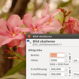 Vorschaubild Datenkompression am Beispiel Bild und Ton
